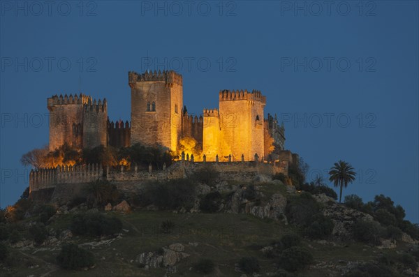 Castle of Almodovar del Rio at dusk