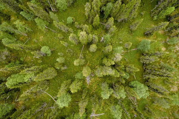 Drone shot