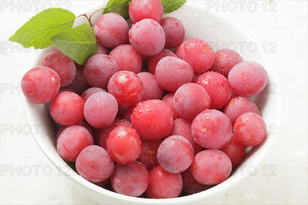 Cherry Plums