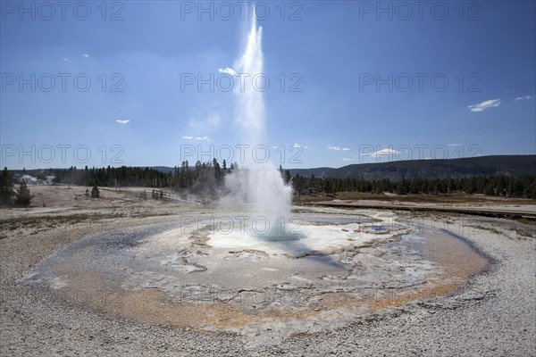 Sawmill Geyser