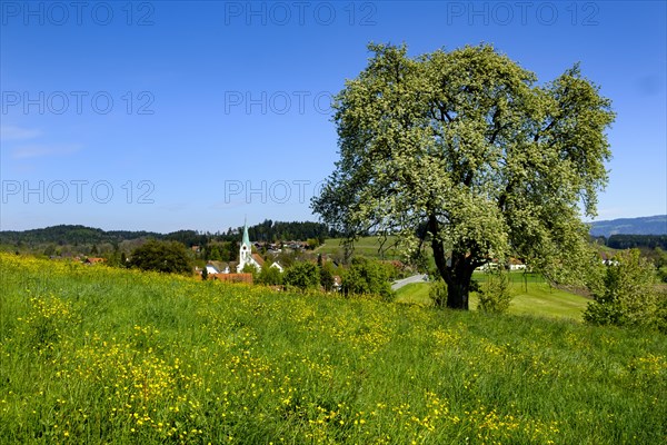 Oberreitnau with parish church of St. Pelagius