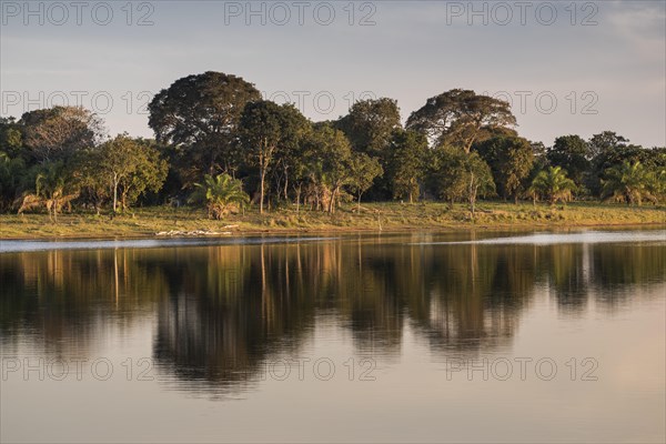 Landscape in the southern Pantanal