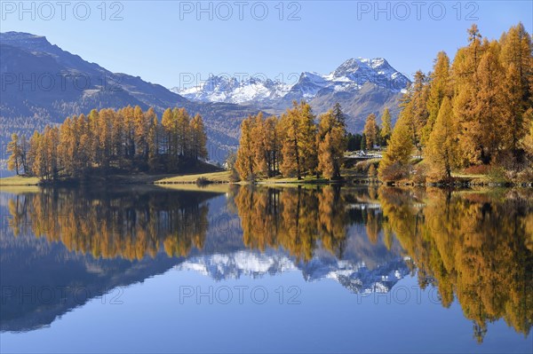 Lake Champferersee with autumnal discoloured larch forest