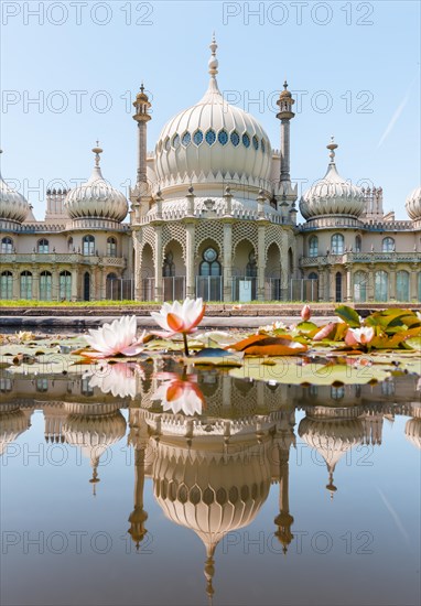 Water lilies in a pond in front of Royal Pavilion Palace