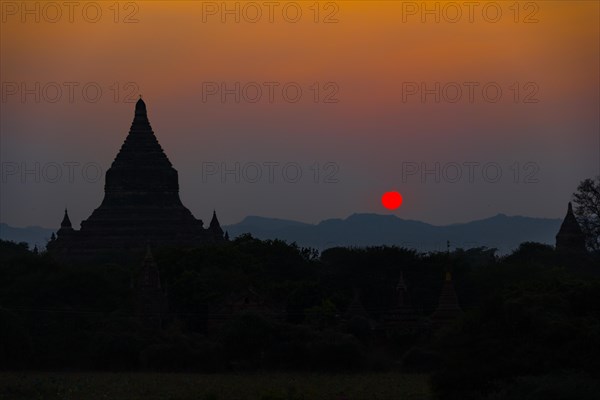 Pagoda in backlight
