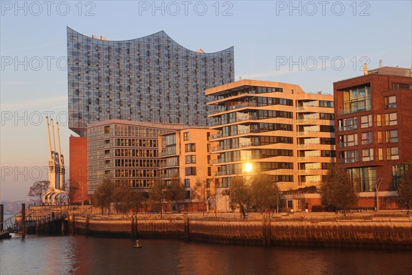 View on Elbphilharmonie and modern apartement buildings