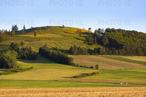 Gelber Berg