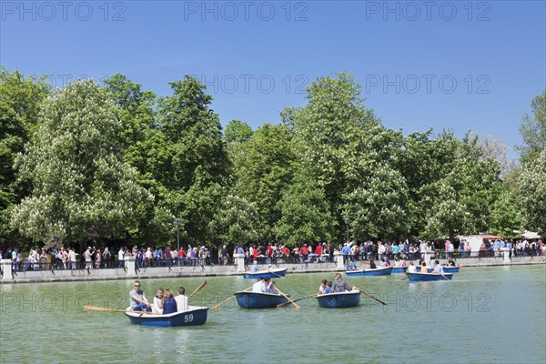 Rowing boats on the lake Estanque del Retiro