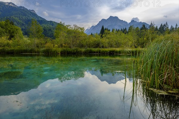 Sava Dolinka spring