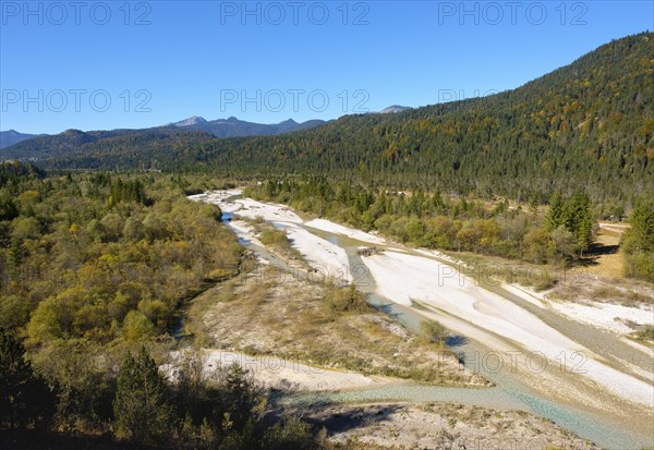 Isar