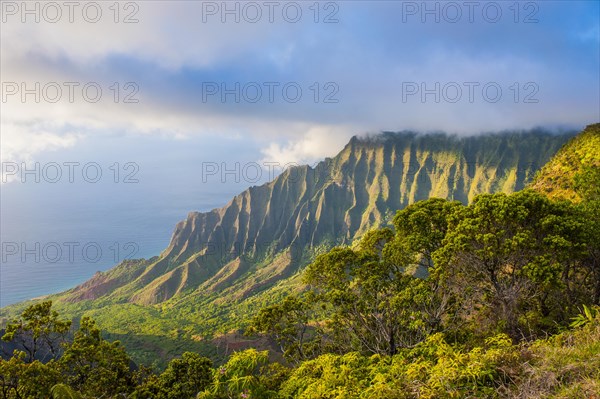 Napali coast with green mountains seen from the Kalalau lookout