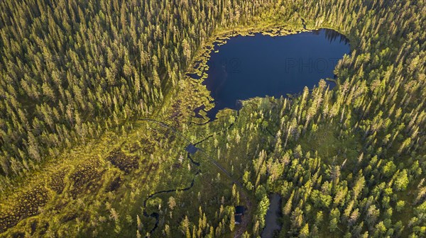 Drone shot