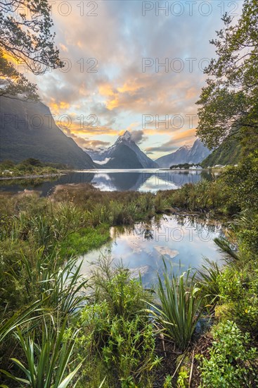 Mitre Peak