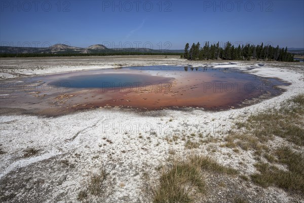 Opal Pool