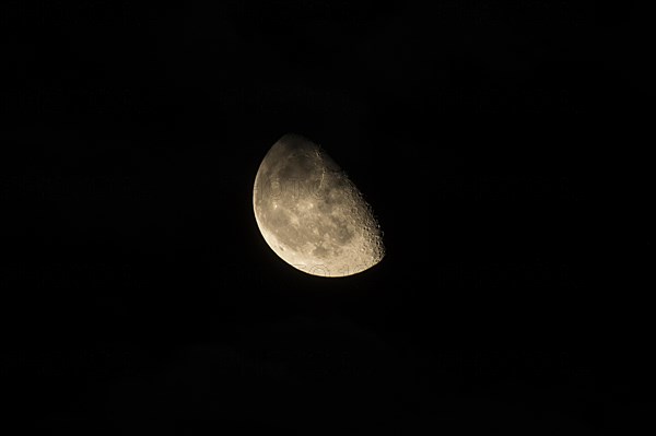 Waning Moon