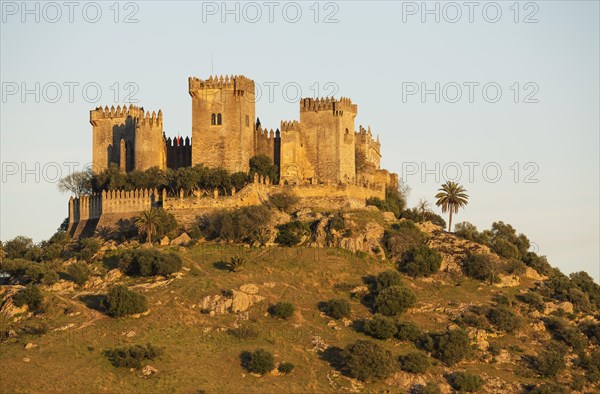 Castle of Almodovar del Rio