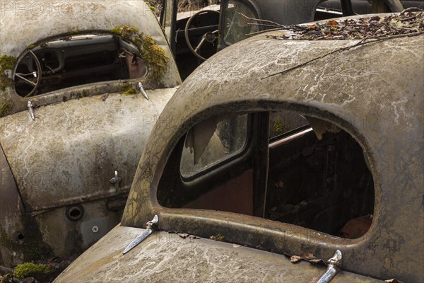 Rusty old vintage cars