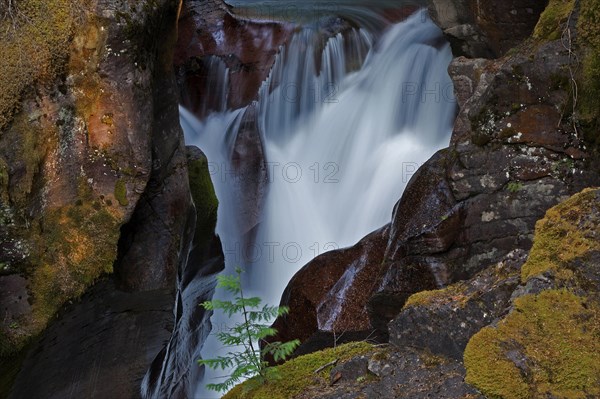 Wild creek