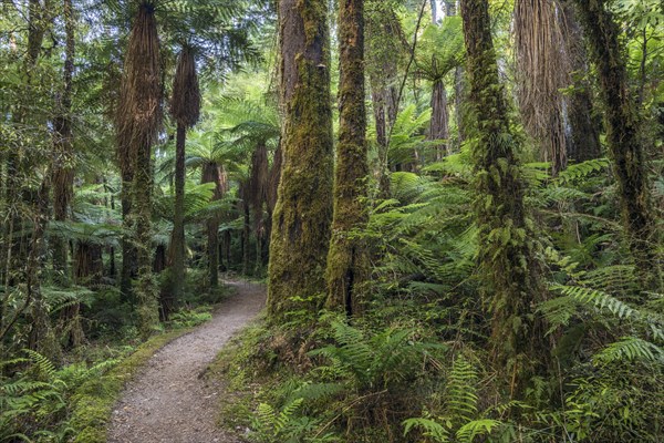 Hiking trail