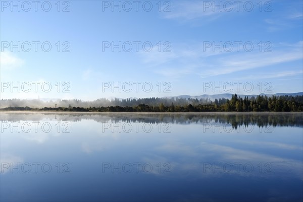 Morgennebel