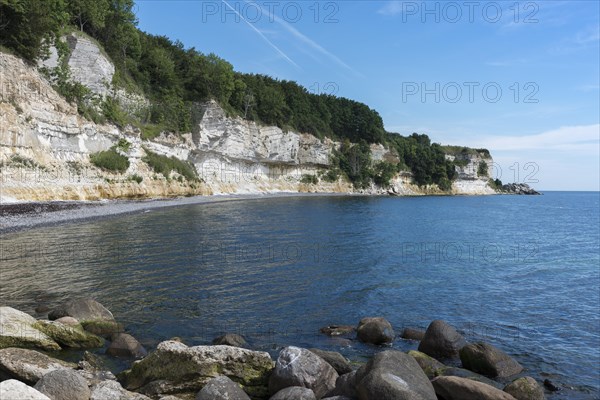 Stevns Cliff