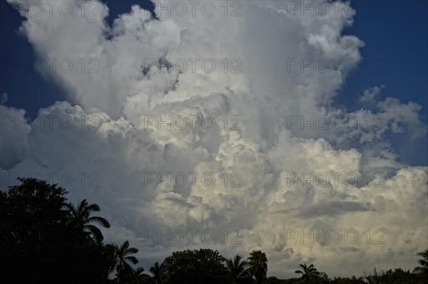 Clouds in the rainy season