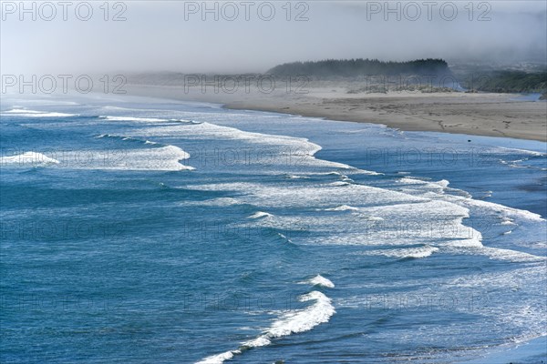 Pacific Coast in fog near Punihuil