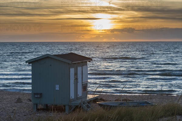 Evening light