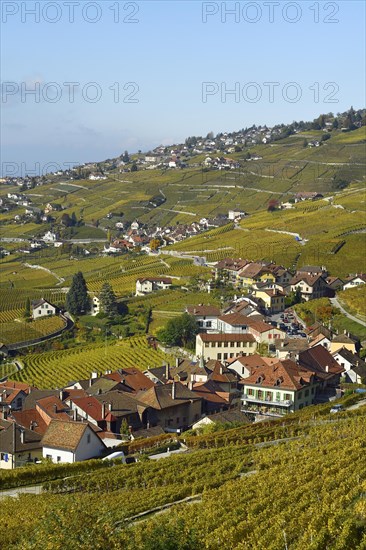 Vineyards in autumn with view of winemaking villages Epesses and Riex