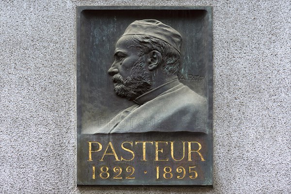 Memorial plaque with the relief of Luis Pasteur