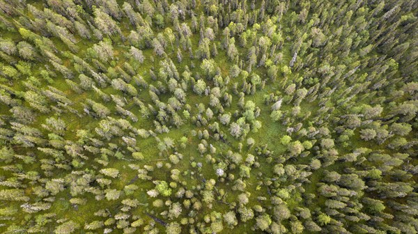 Drone shot