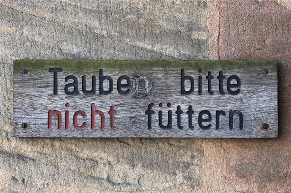 Sign prohibiting pigeon feeding