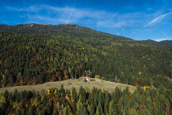 Mountain forest at the Panarotta in autumn
