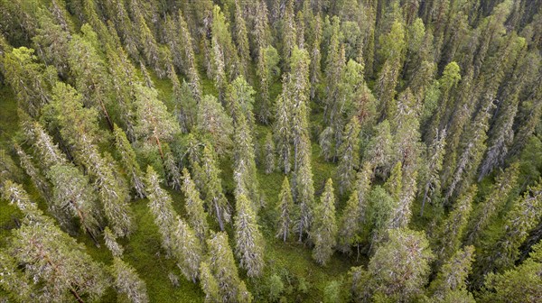 Drone shot