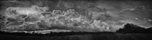 Panoramic view