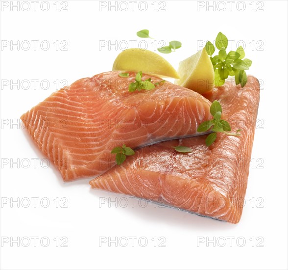 Raw salmon fillet