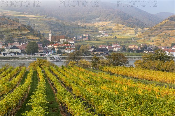 Village view Spitz an der Donau