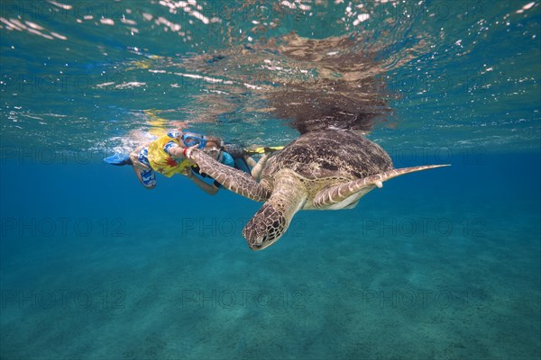 Woman and little boy with mask and fins swim with Green Sea Turtle