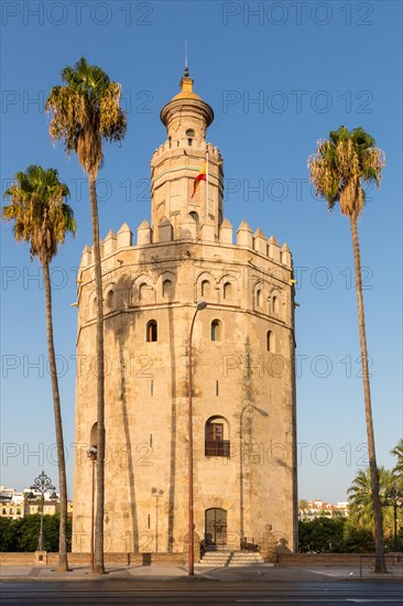 Tower of Gold