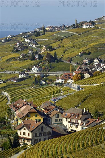 Vineyards in autumn with view of winemaking villages Epesses and Riex