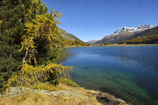 Lake Sils