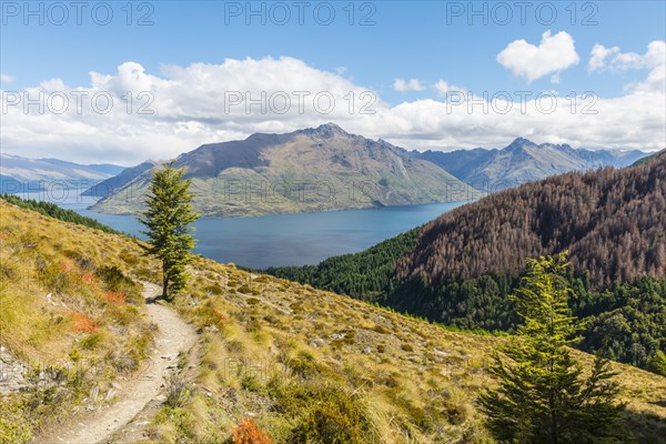 View of Lake Wakatipu