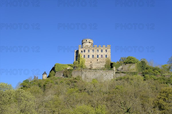 Castle Pyrmont in Roes