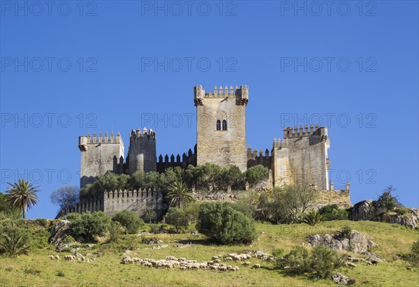 Castle of Almodovar del Rio with a flock of sheep