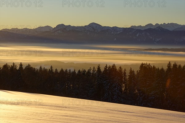 Sunrise in winter