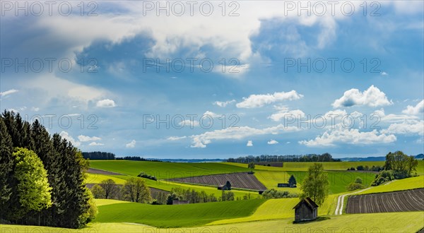 Fields and meadows with field path and small hut