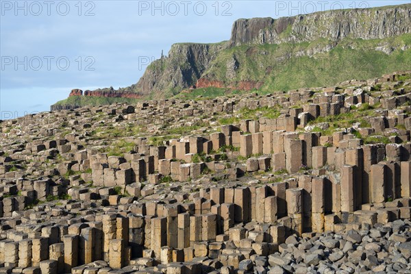 Basalt columns