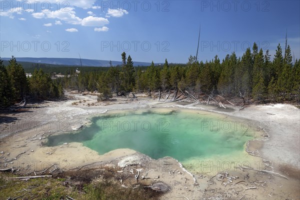 Emerald Spring