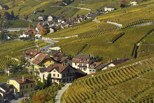 Vineyards in autumn with view of winemaking villages Epesses and Riex