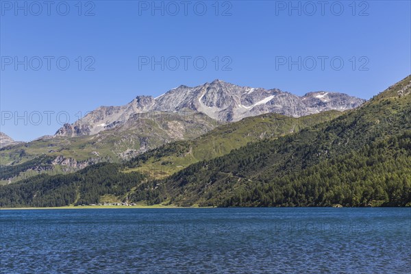 Lake Sils with Piz Corvatsch